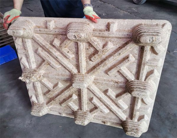 Sugarcane bagasse pallet